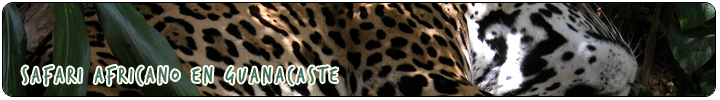 VIDA SILVESTRE Y NATURALEZA - Tour Africano Safari