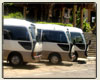 Luxury Buses Guanacaste Transportation