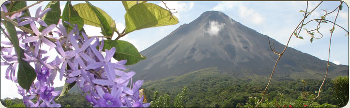 Guanacaste Canopy Tour