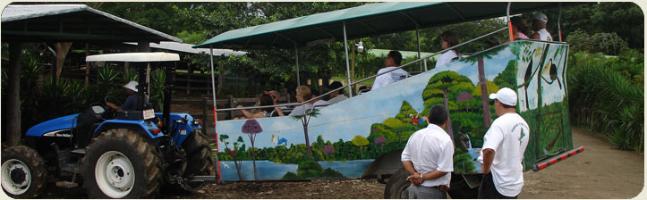 Canopy Guanacaste