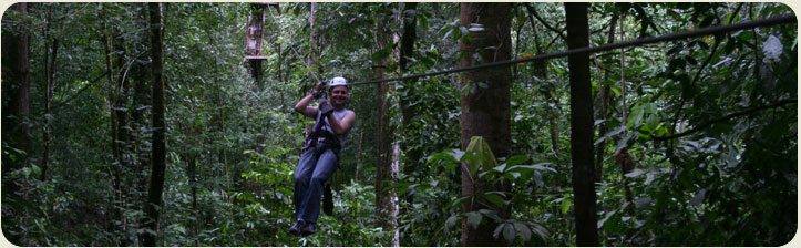 Tour Canopy Tamarindo, Flamingo, El Coco y Ocotal