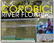 Tenorio Rio Rafting Ecotrans Tours Guanacaste