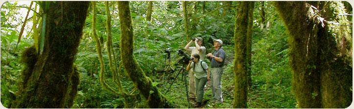 Tour Monteverde Naturaleza y biodiversidad