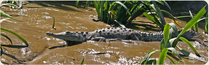 Naturaleza Ecotrans Tours