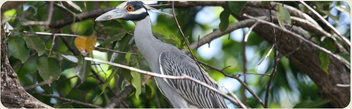 Naturaleza Tour Guanacaste