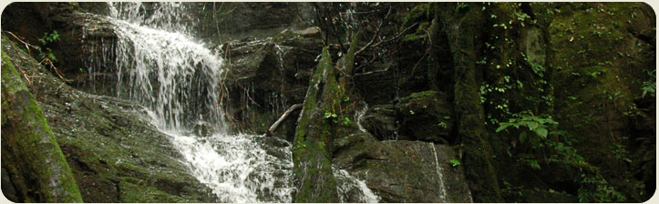 Guanacaste Extrema Tour