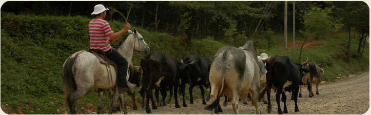 Rincon de la Vieja natural Tour