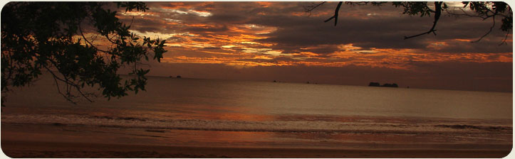 Ecotrans Natural Tamarindo