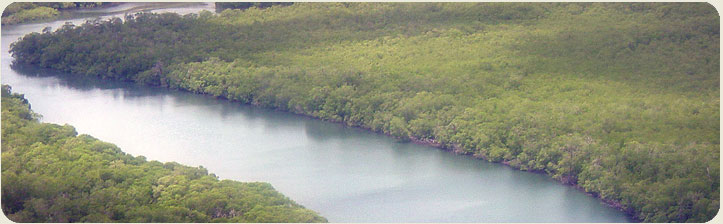 Tour Manglares y playa Tamarindo