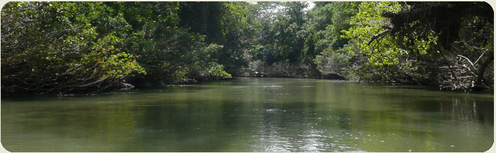tenorio adventure tour