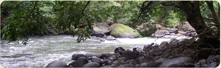 Tenorio river rafting tour