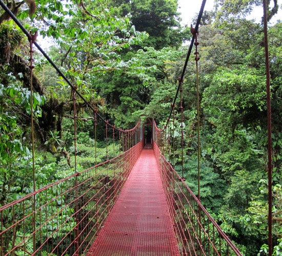 Puente del Parque Monte Verde