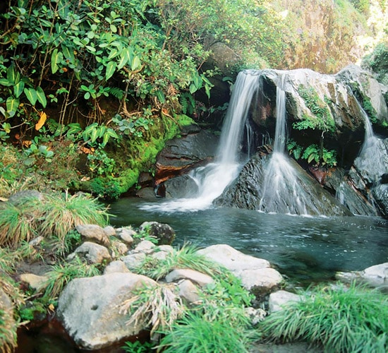 Rincon de la Vieja National Park