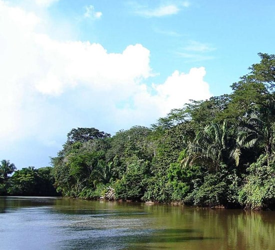 Palo Verde National Park Tour EcoTrans Costa Rica